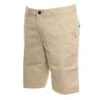Quiksilver Everyday Light Chino In Oatmeal(Tfl0) Shorts