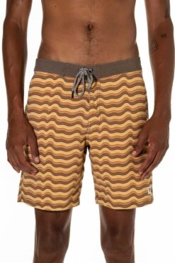 Katin Frequency In Bark Boardshort